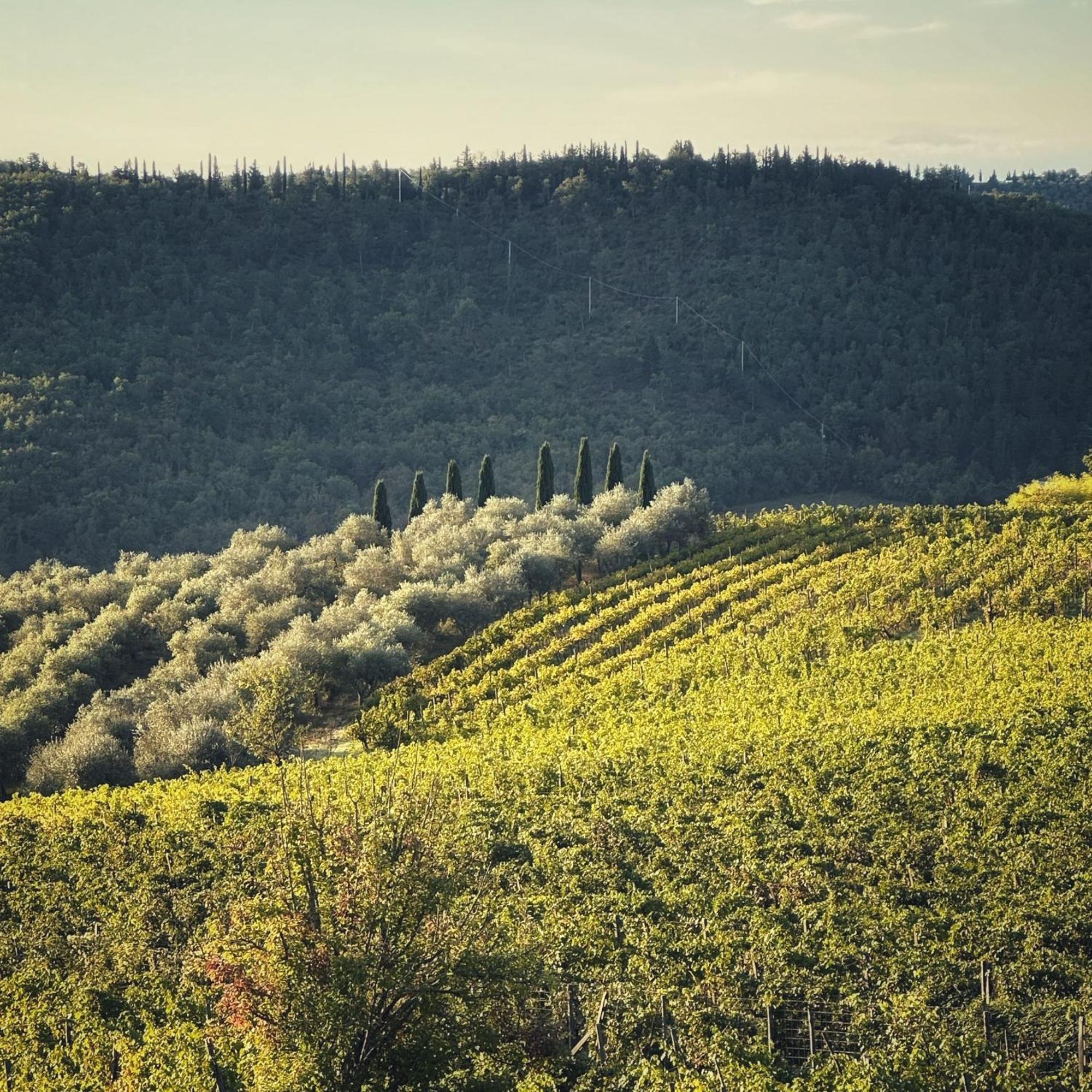 Agriturismo Malpensata Radda in Chianti Exterior foto